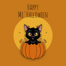 Chaton espi&egrave;gle dans sa citrouille d'Halloween
